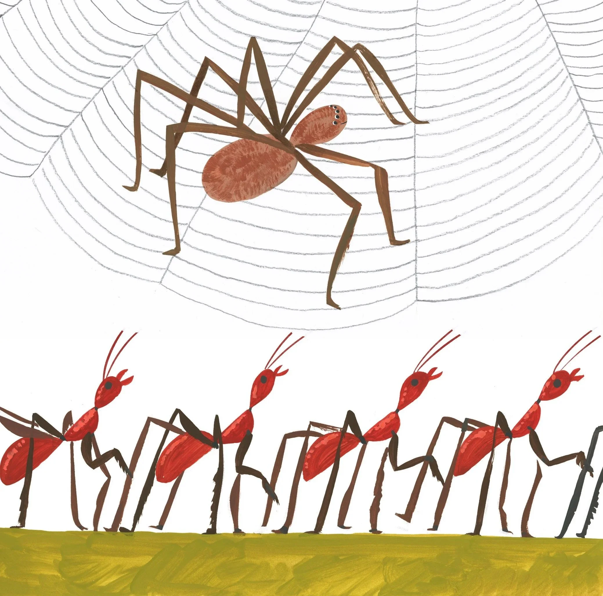 ants+and+spiders.jpg
