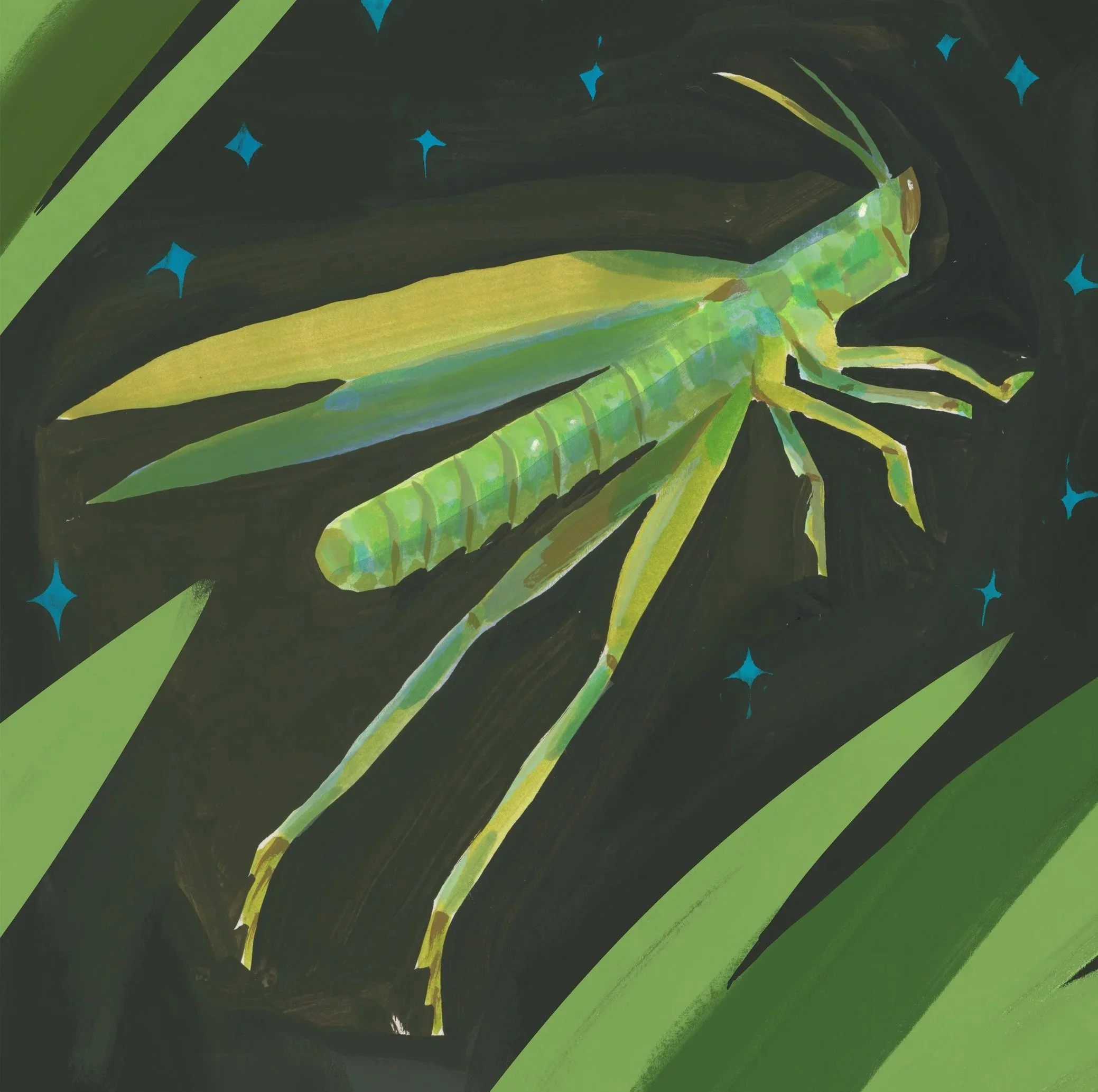 grasshopper.jpg