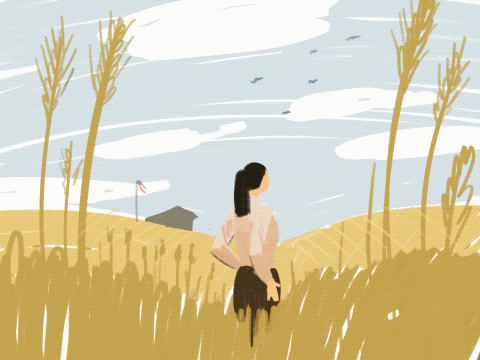Farmland sketch.gif