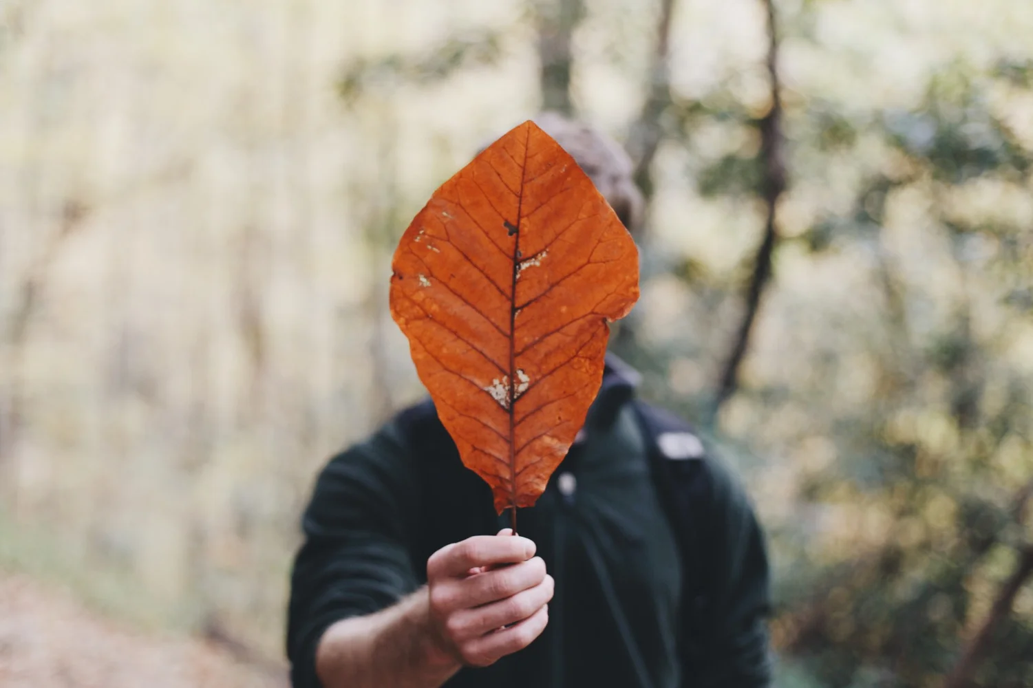 backpacking-9.jpg