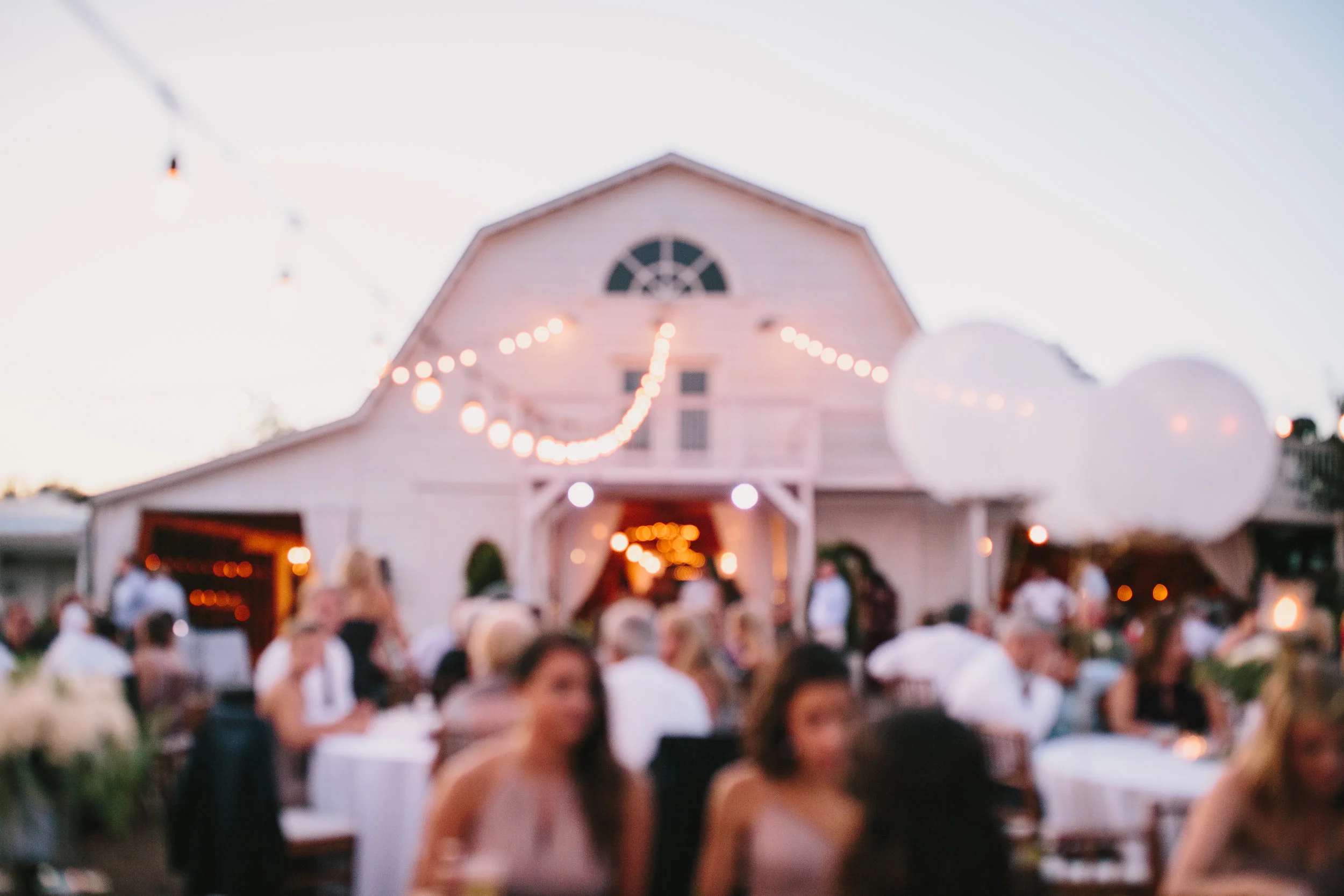 preston-reception-16.jpg