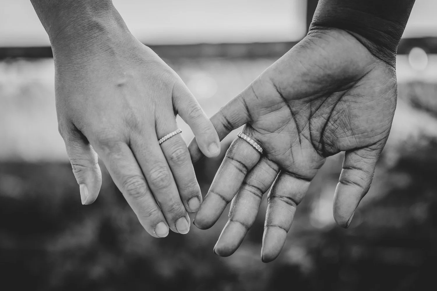 Two brides hands showing off their new wedding bands
