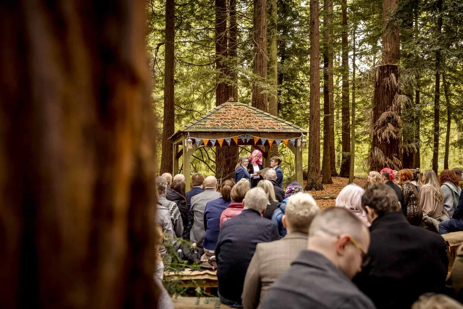celebrant-led-woodland-wedding-west-sussex-21.jpg