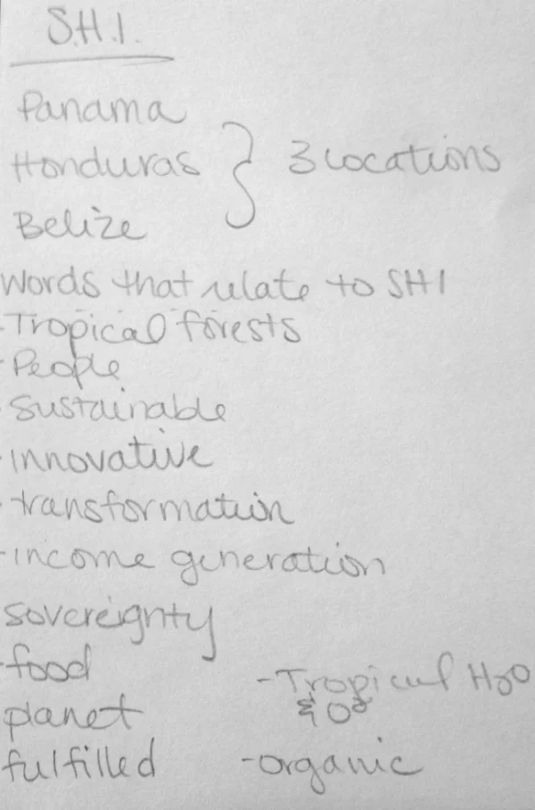 Brainstorming