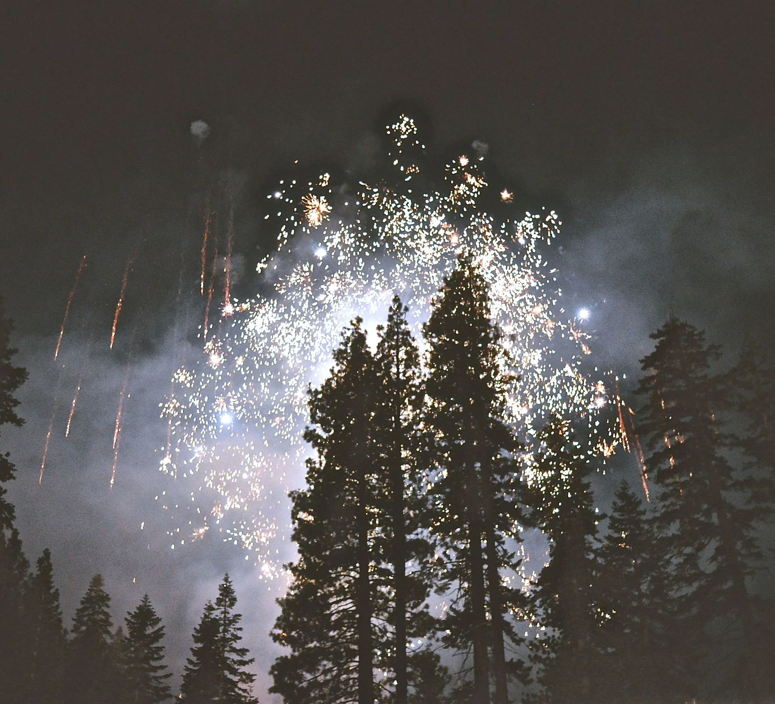 Fresh Perspectives for a Fresh Start