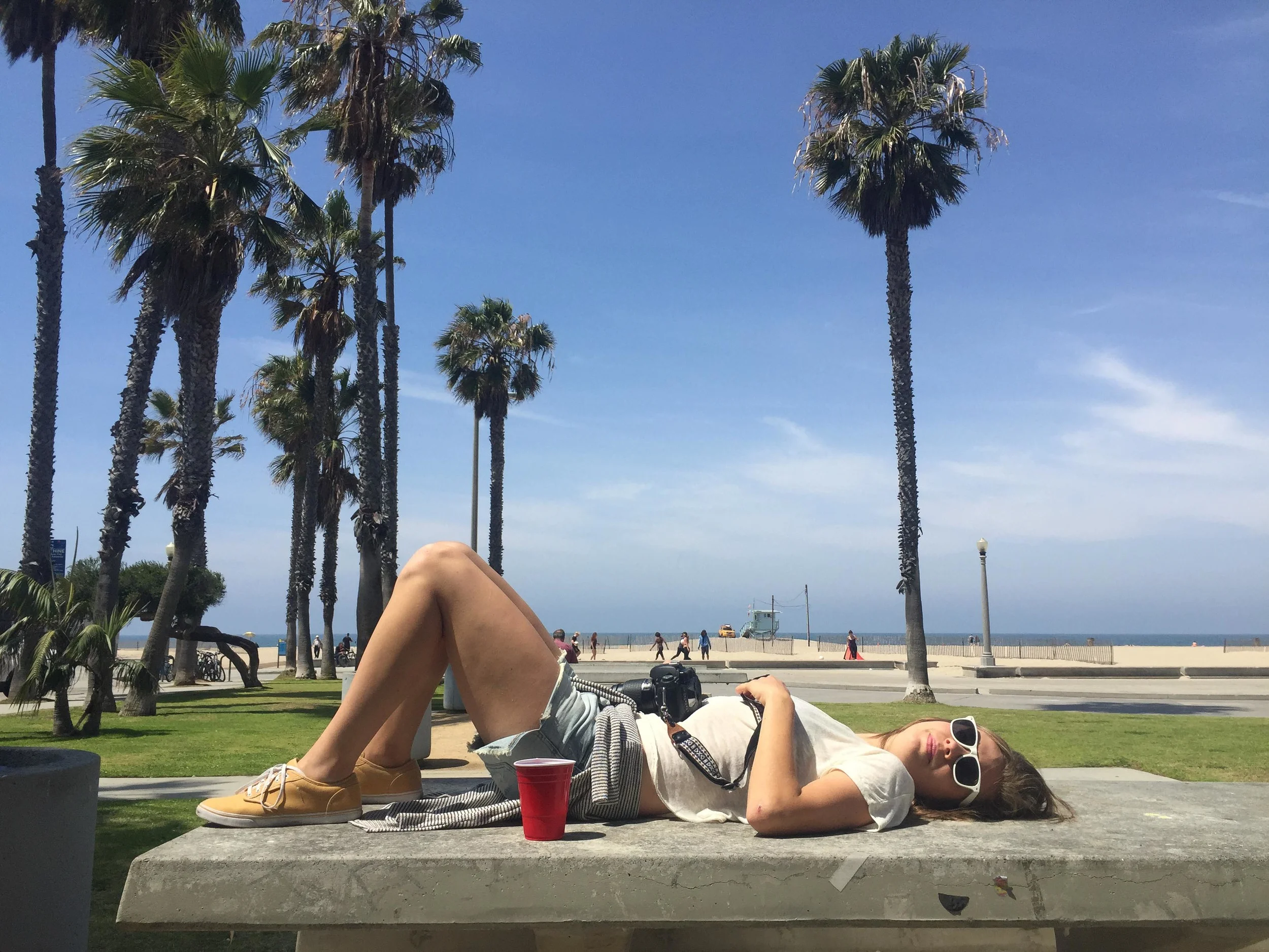 Abby on a picnic bench in Venice Beach #Abbyonbenches