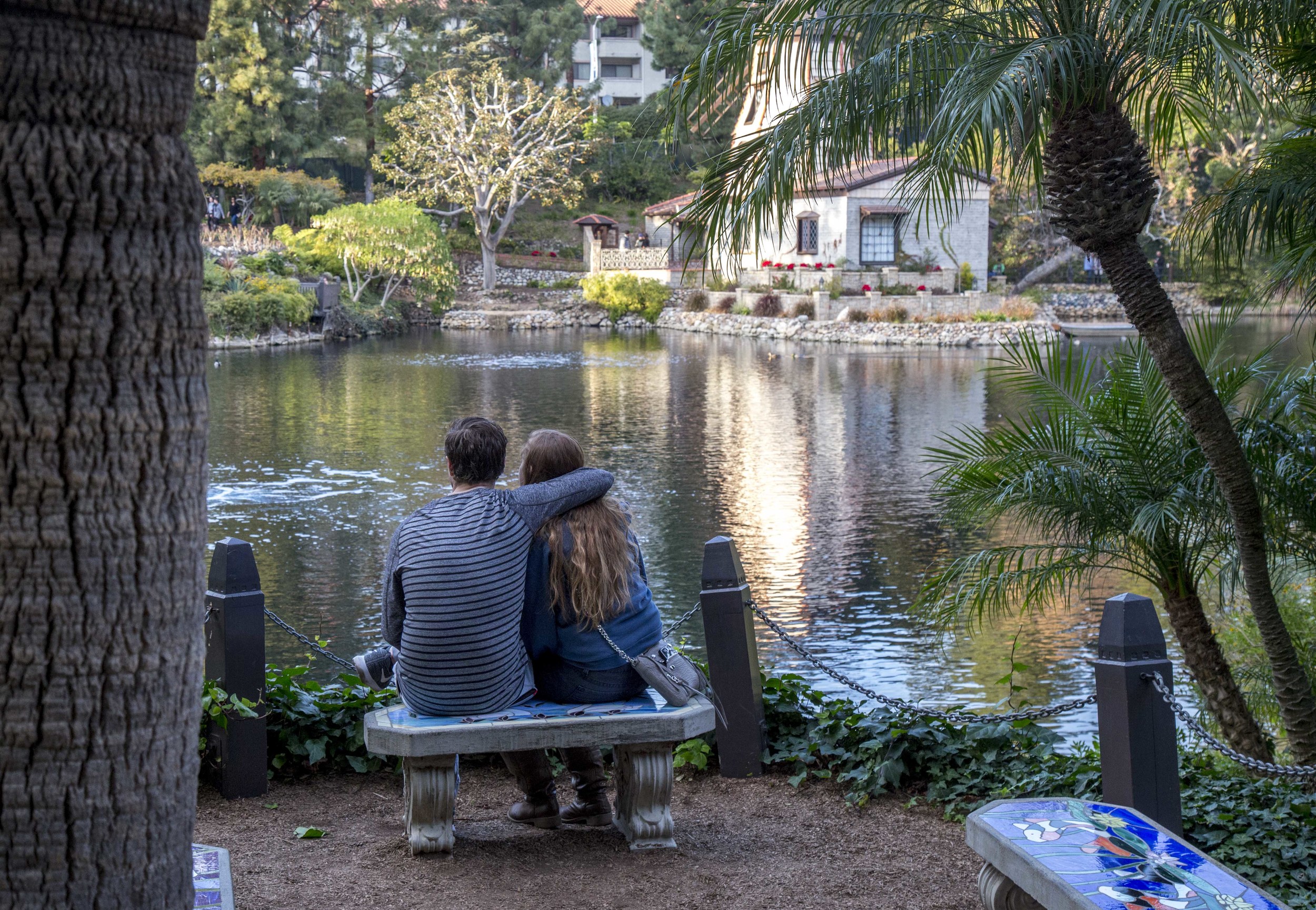 Project Self Realization Fellowship The Monday Project