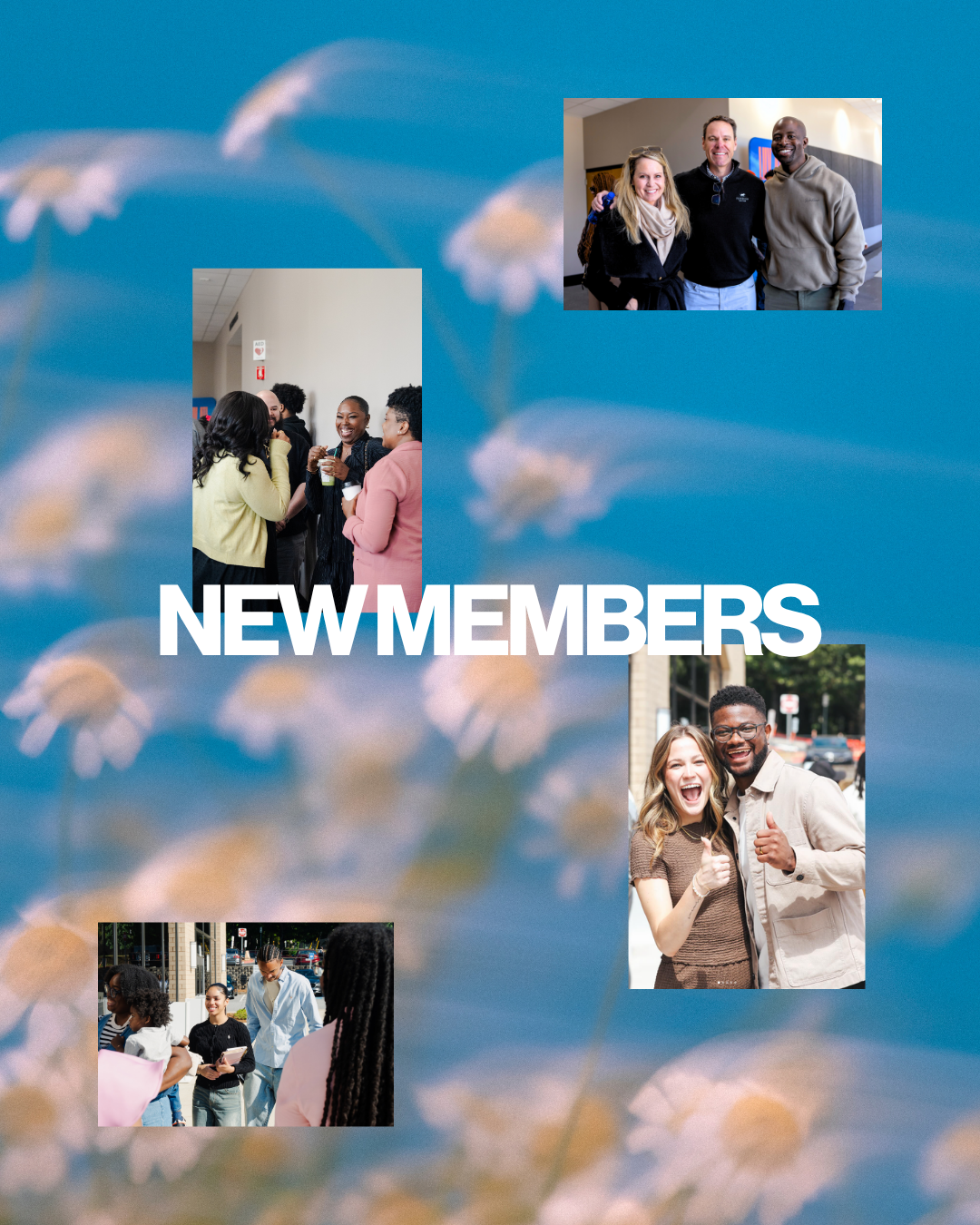 NEW MEMBERS.png