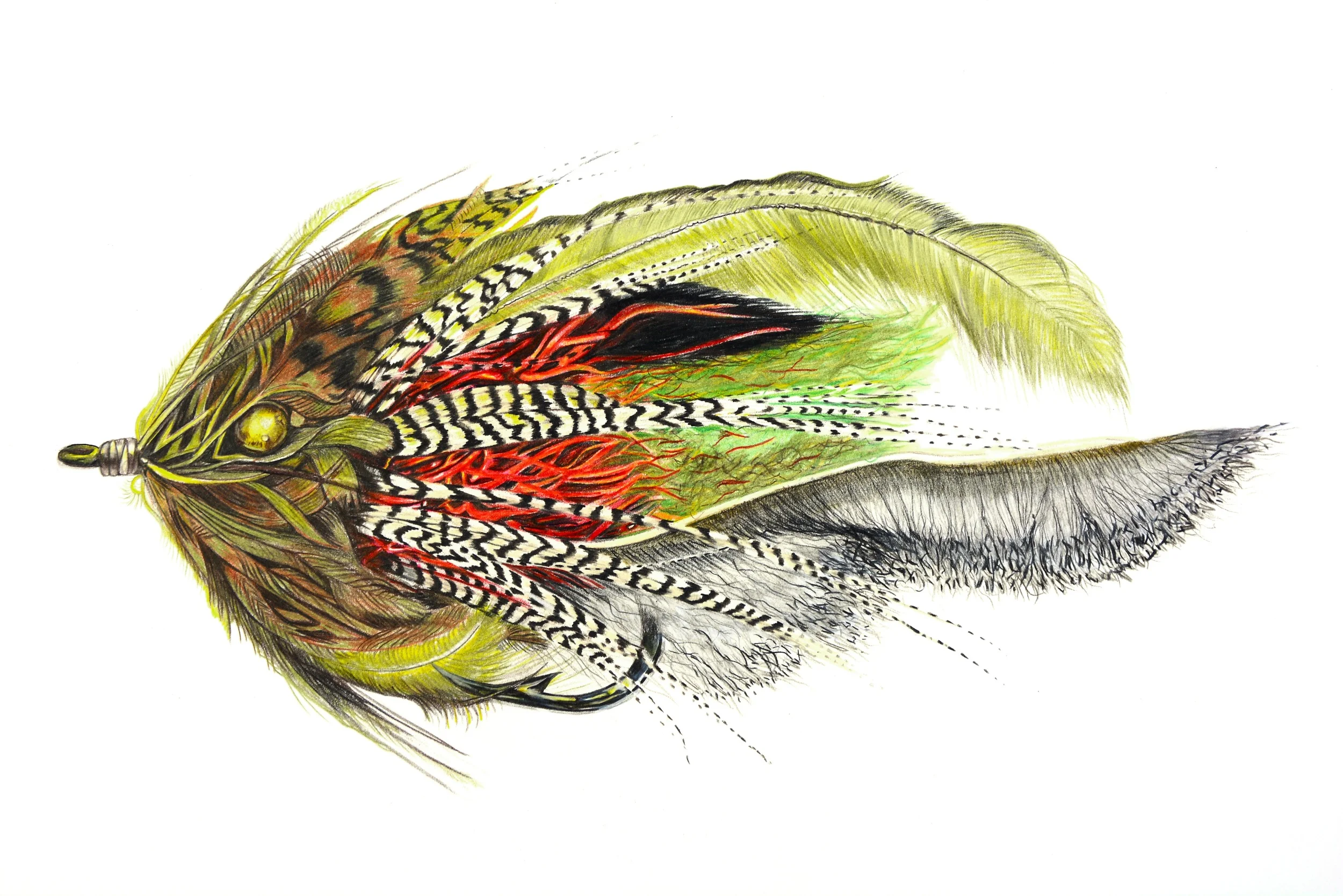 "Sheila Sculpin" Prisma Color Pencil/Micron on Paper