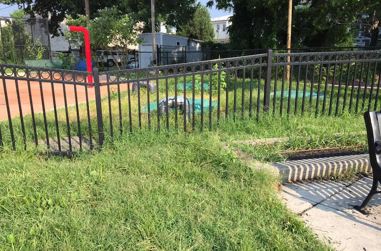 The wilderness that is the Petworth Spray Park