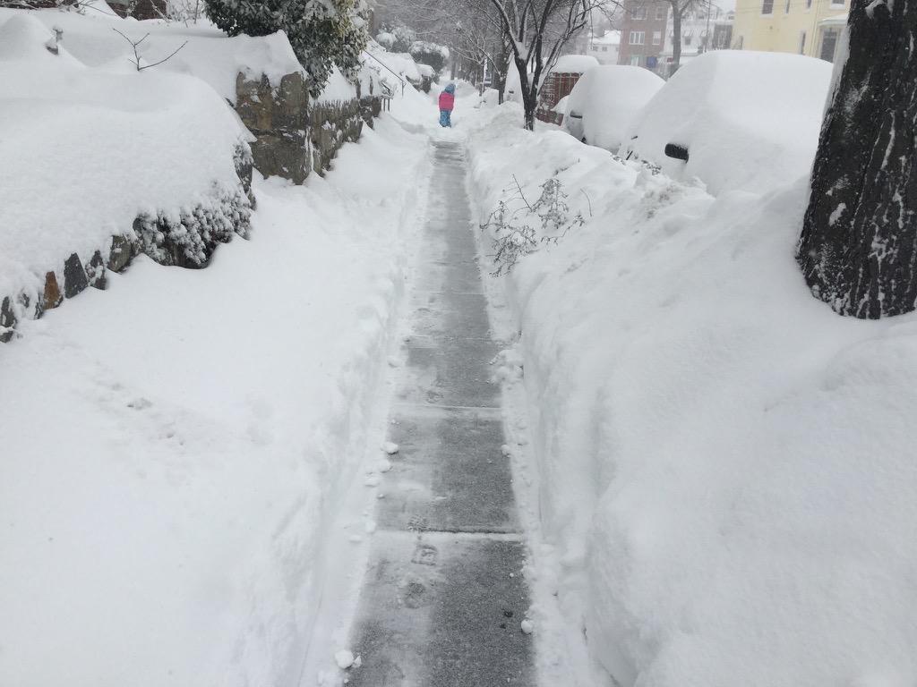  The seemingly never-ending struggle for a clean sidewalk  (photo: Carol Herwig) . 