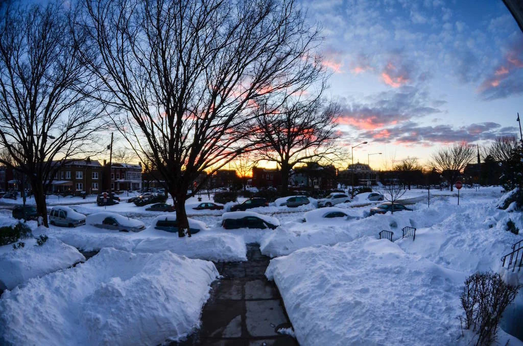 End of the day in Petworth... (photo: Christopher Schwalm) 
