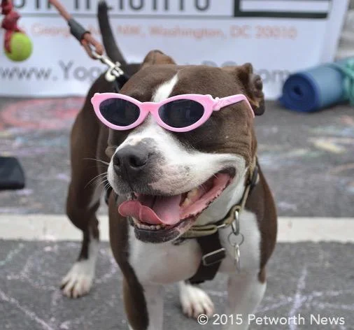 Volunteer and you can be this cool, too.