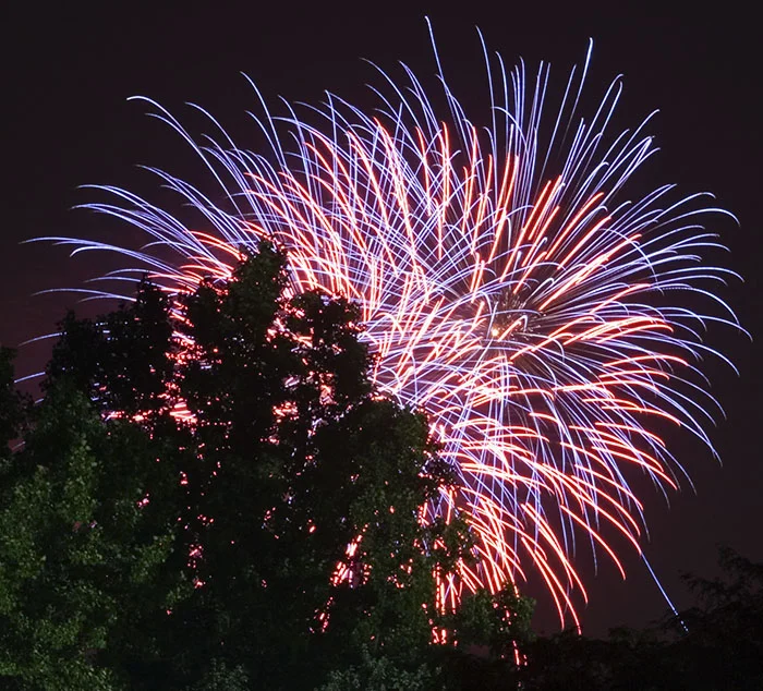 Flickr photo of fireworks & tree courtesy of dcJohn . 