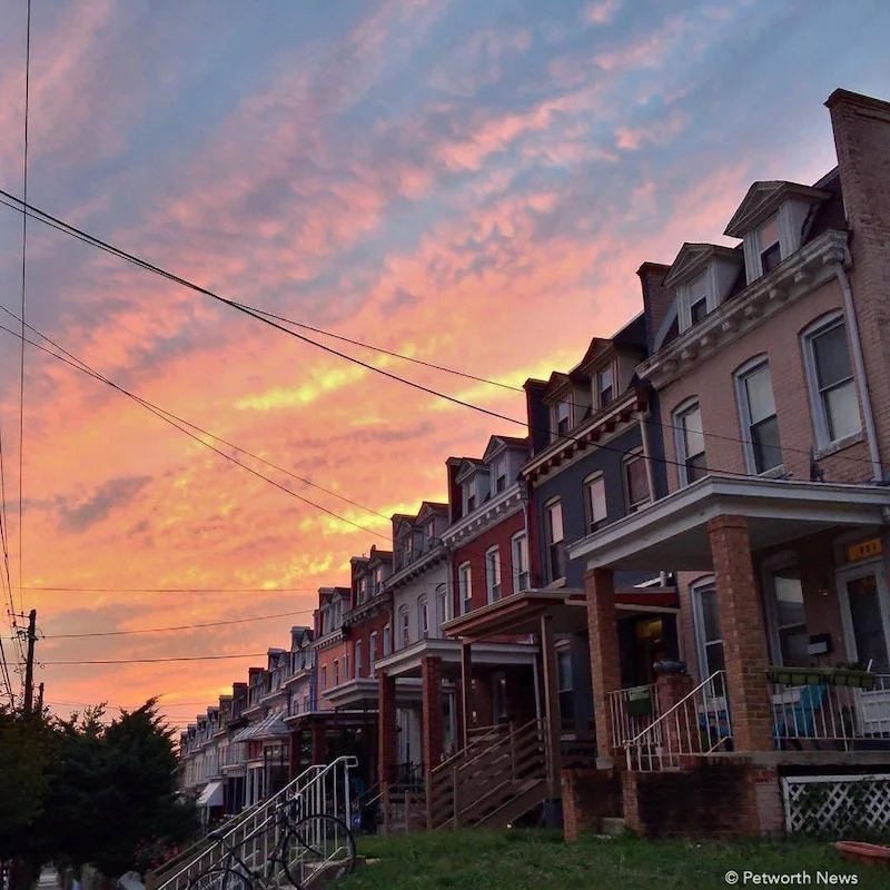 petworth-evening1.jpg