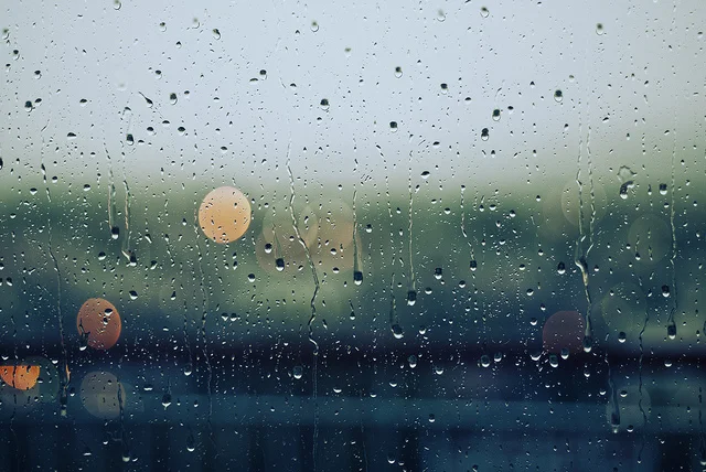 Rain drops, better seen than felt... (photo: Gabriele Diwald)