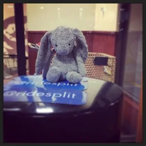 Bun Bun gets a TV interview