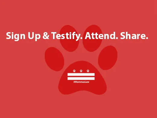 Help make Momma's Law permanent - take 5 minutes to send an email or choose to testify