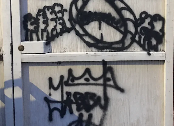 Disturbing graffiti found in alley on Hamilton Street