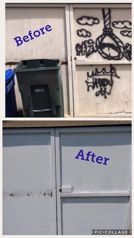 Disturbing Graffiti Found In Alley On Hamilton Street Petworth News
