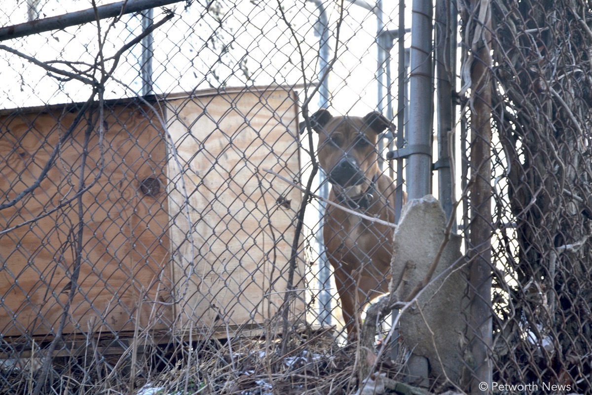 Momma in January 2017