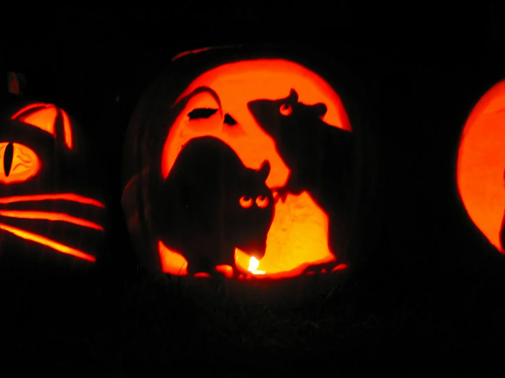 It's not just on Halloween that rats can be scary. (photo: Peter Kaminski )
