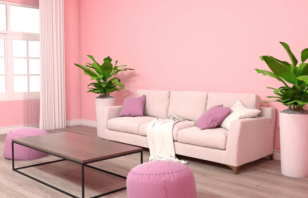 Pink Shades.jpg