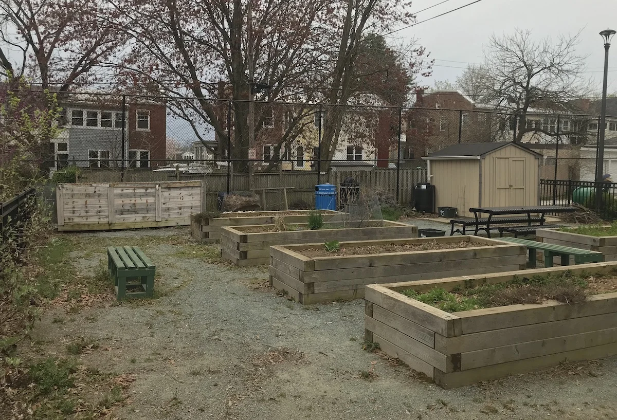 Hamilton Street Compost Garden