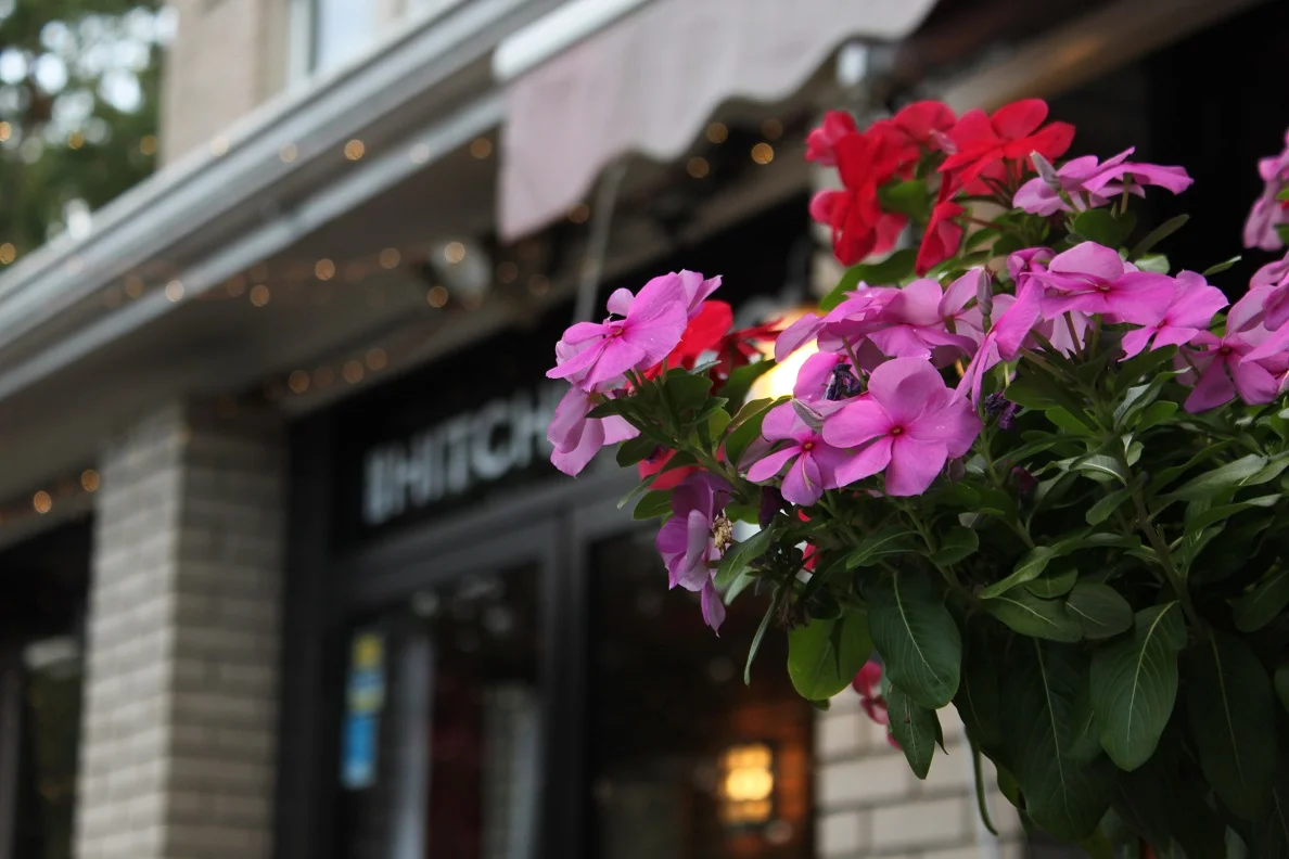 Potted Vinca at the Hitching Post restaurant.