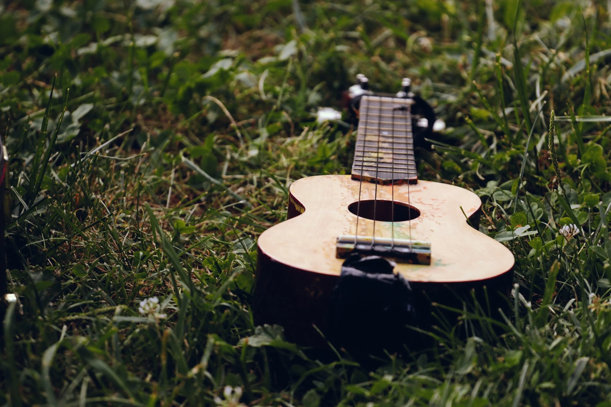 Wanna help with Porchfest in Petworth? Music, social distancing and good vibes