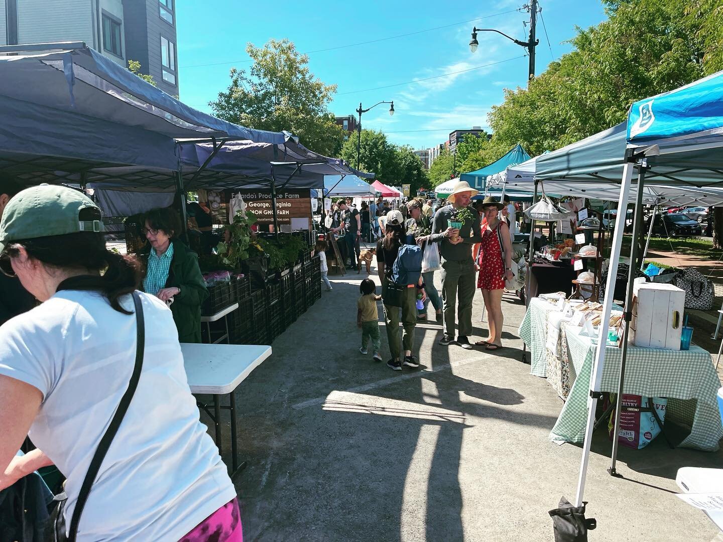 The Petworth and Kennedy Street Farmers&rsquo; Markets open today! 🥕🥬☕️