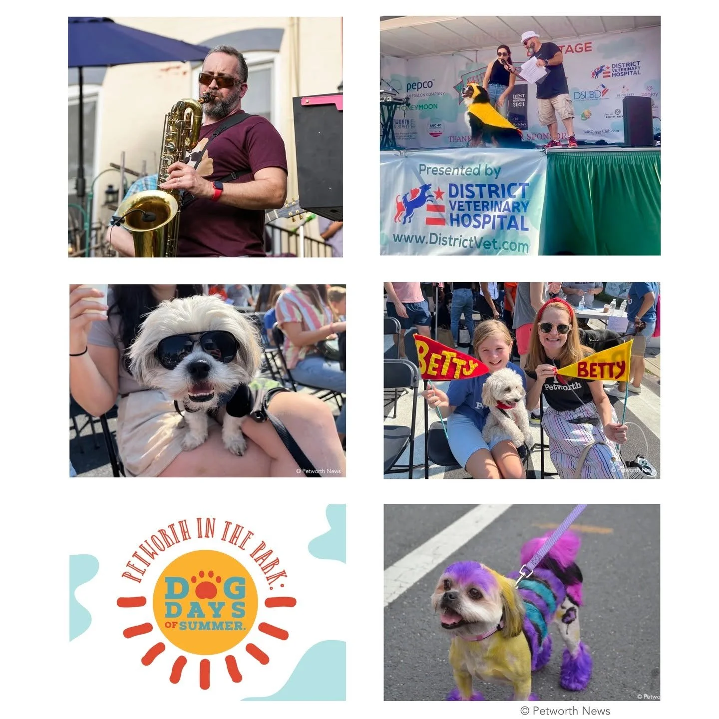 Get ready to enjoy Petworth in the Park: Dog Days of Summer, a new community celebration coming on Saturday, September 6th! 

This fun afternoon event features the always popular Petworth Dog Show &amp; Contest hosted by Drew Schneider, great live mu