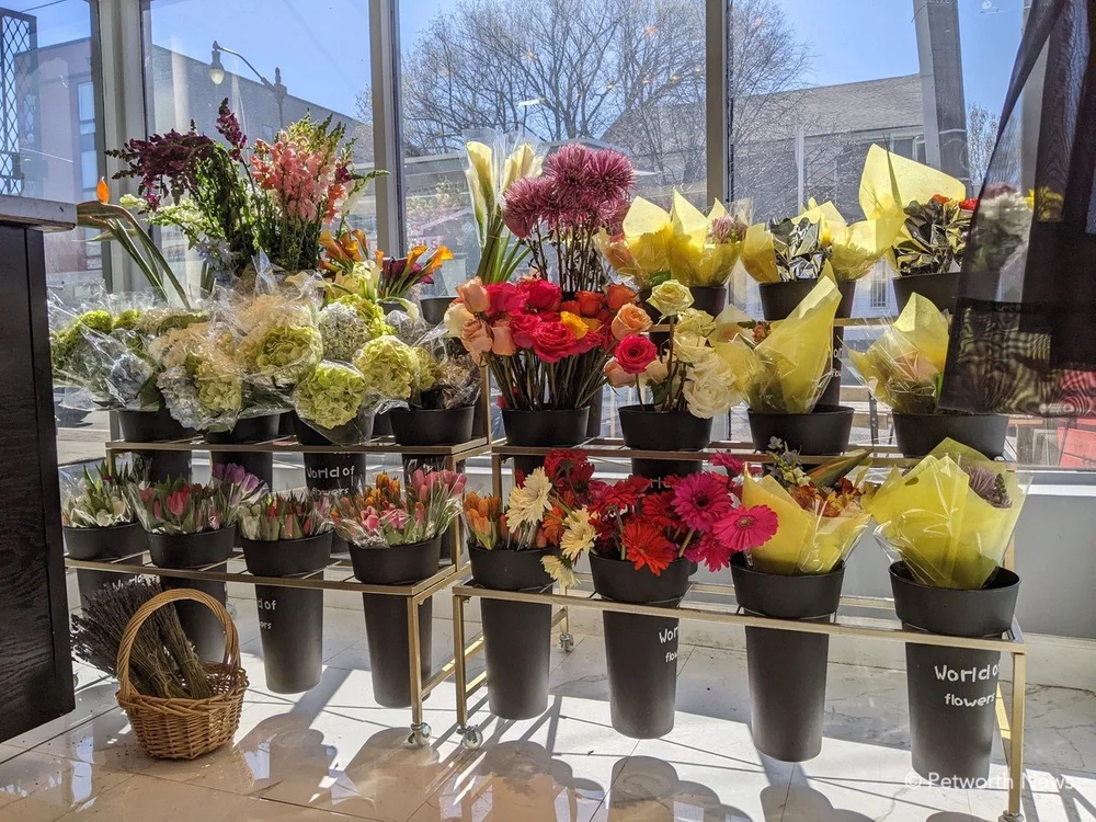 Flowers by Alexes opens its doors for a grand opening — Petworth News