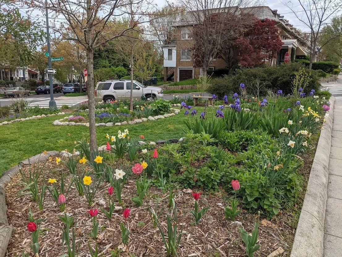 If you like how Petworth Blooms... donate to help them do their great
