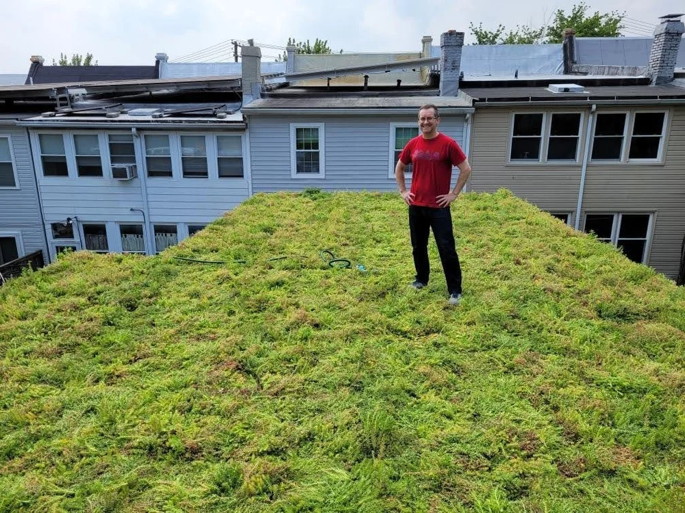 Turning a garage roof green and getting cool — Petworth News