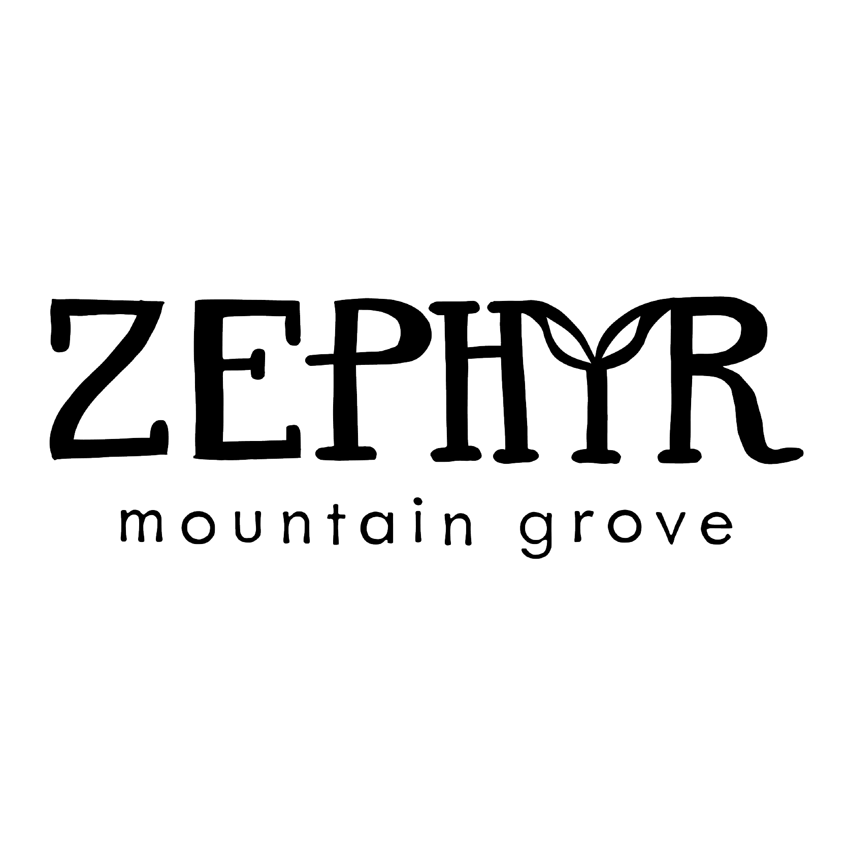 portfolio_zephyr-01.png