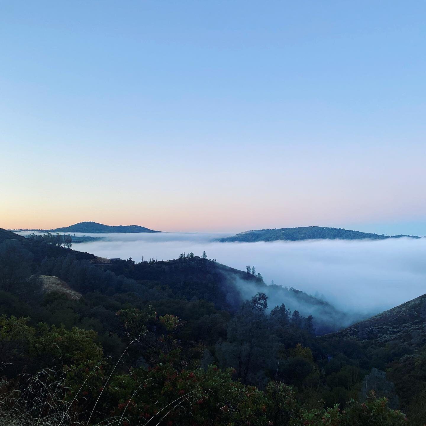 A pretty spectacular view this morning overlooking a blanket of fog above the American River. Driving so much every day is pretty taxing, but moments like these make it feel pretty special.