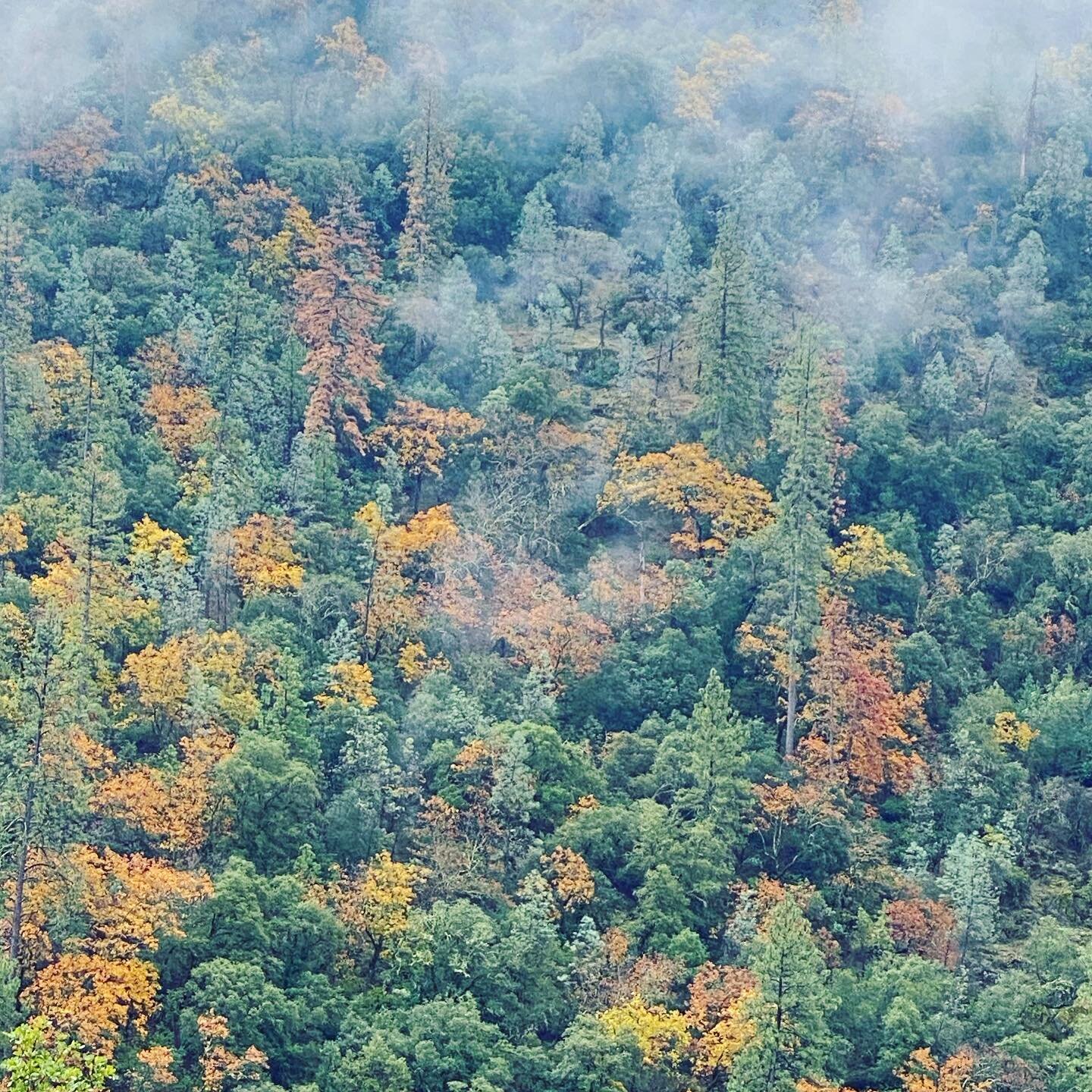 Today was long and kinda brutal, but at least it started with this gorgeous misty view driving through the canyon.