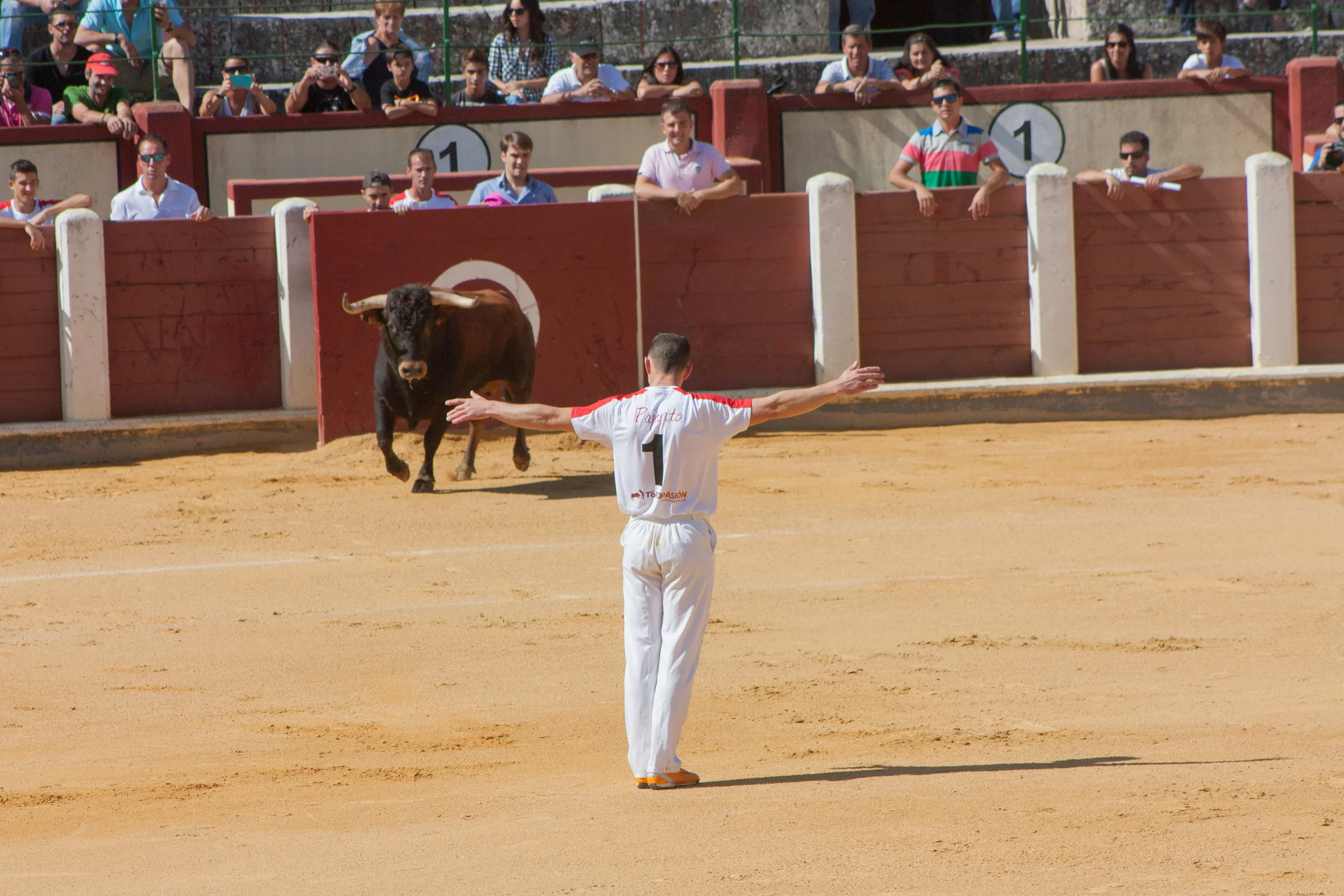 Bullfighting-0032.jpg
