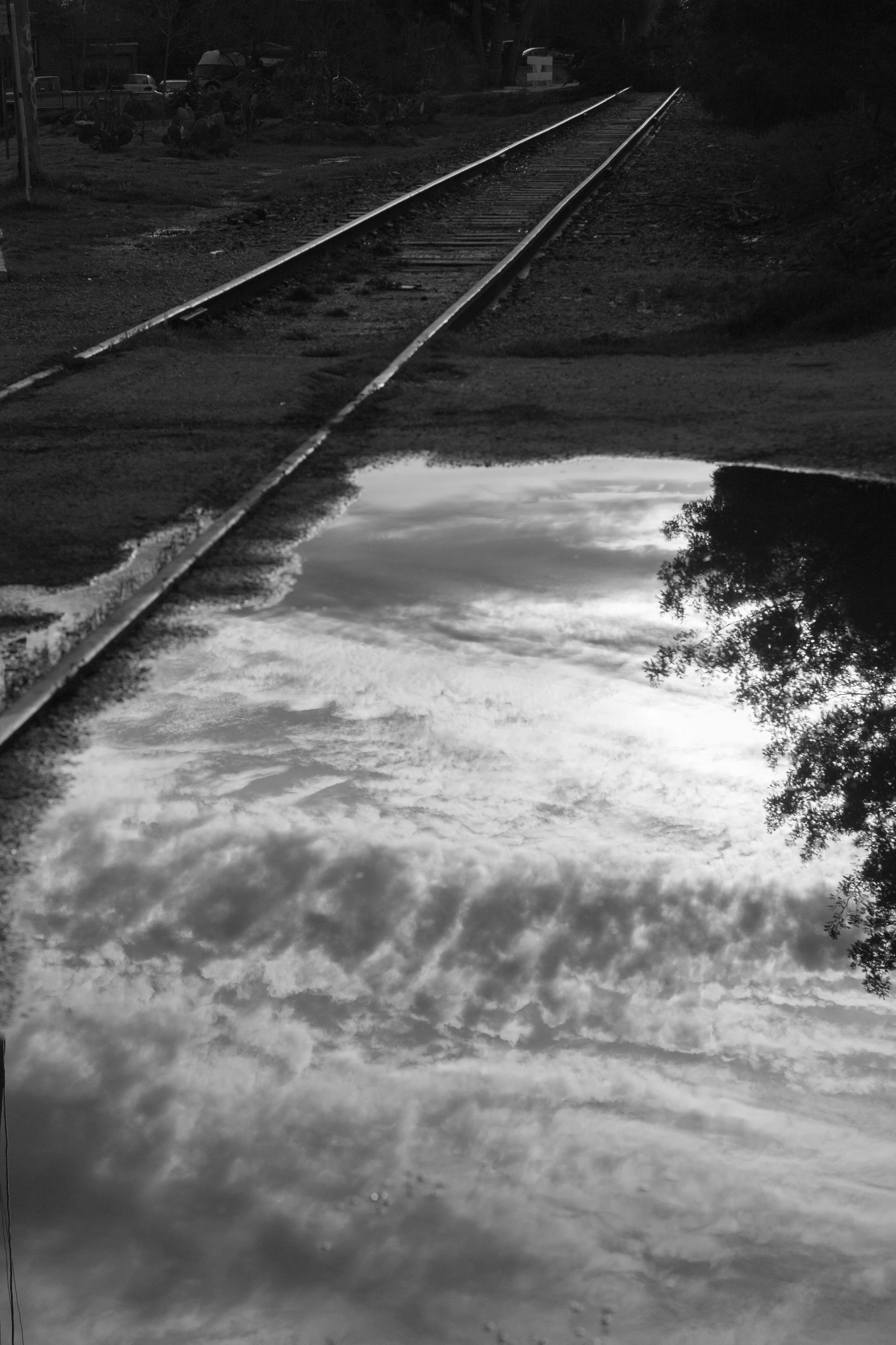 Meanderings-2016-Jan-21-19.jpg