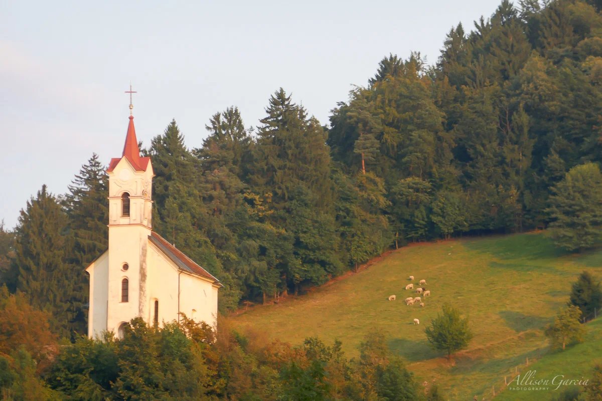 Austria-267.jpg