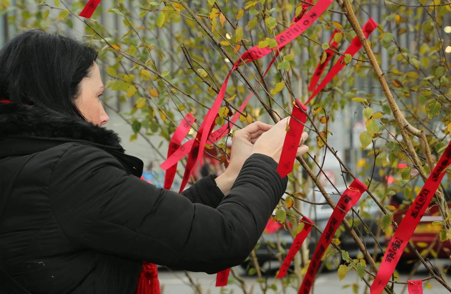'The Art of Remembrance', November 2016