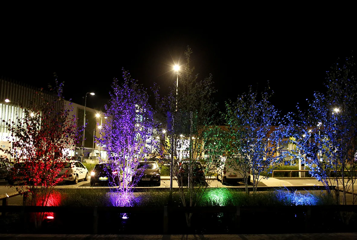 'Lighting and Planting Scheme' by Cathy Wade