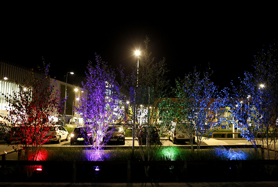 Longbridge Public Art Project - ‘Star Map’ and Urban Lighting Scheme for Longbridge Town Centre Development_4_web.jpg