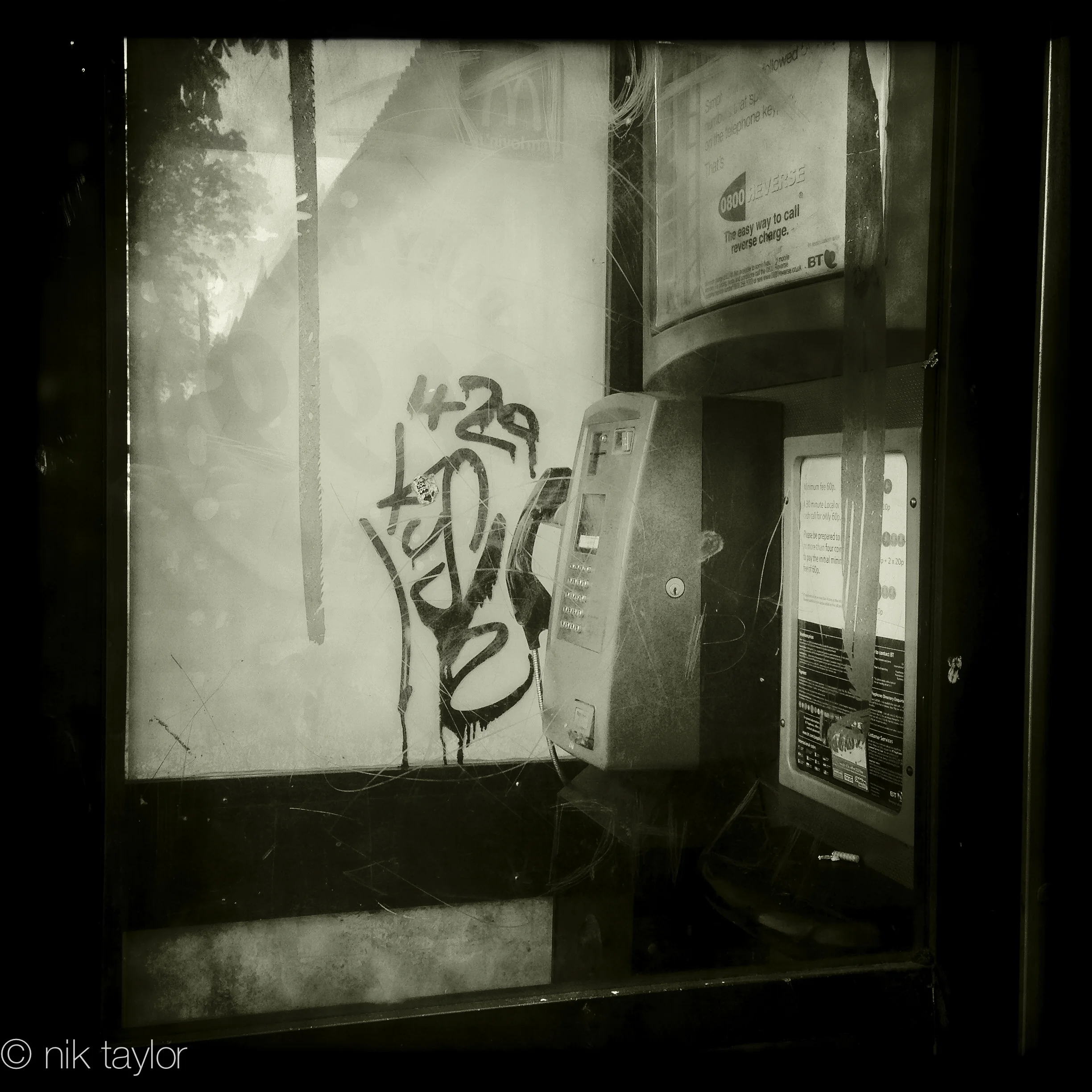 (c) Nik Taylor