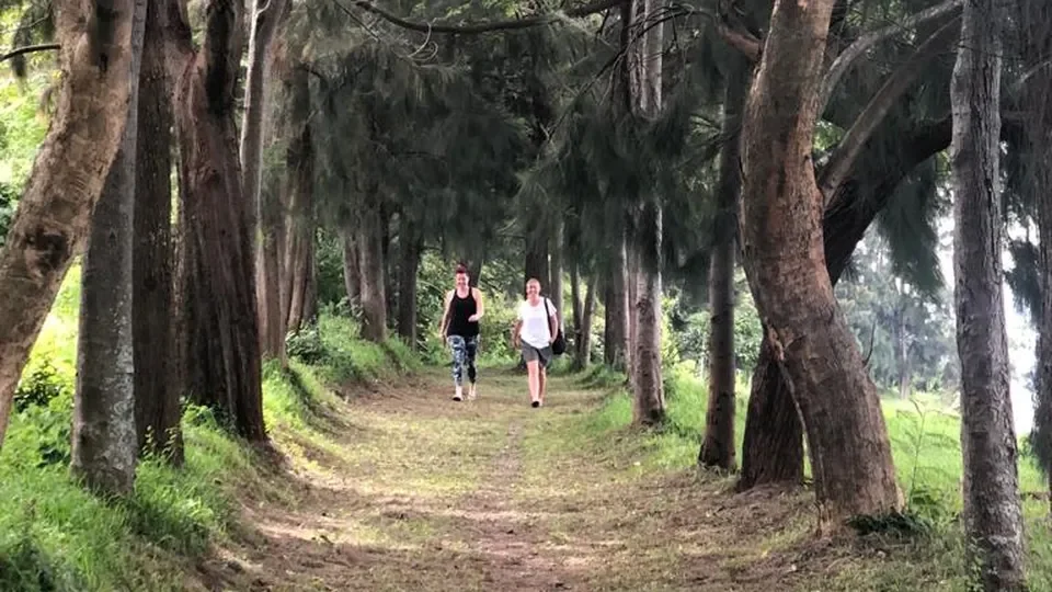 rwanda-lakeside-walking-trail.webp