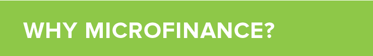 MFI - Why microfinance.png