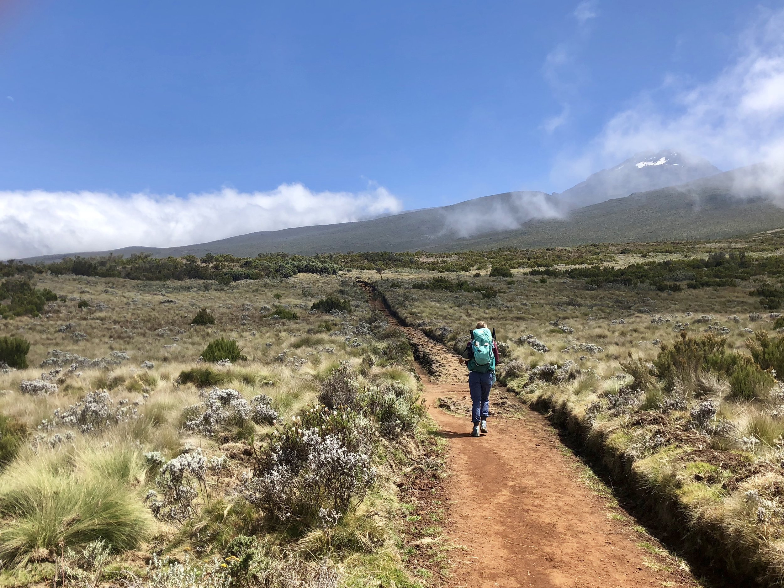 Back to the Basics: Packing 101