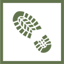 dayhiking.png