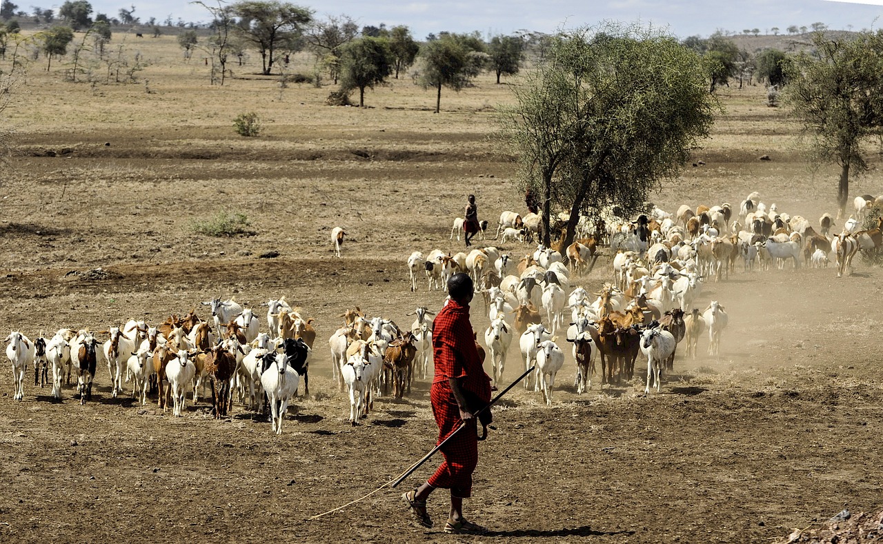 maasai-herdsman-802888_1280.jpg